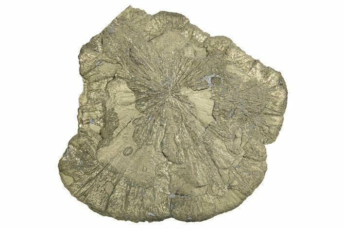 Pyrite Sun - Sparta, Illinois #315892